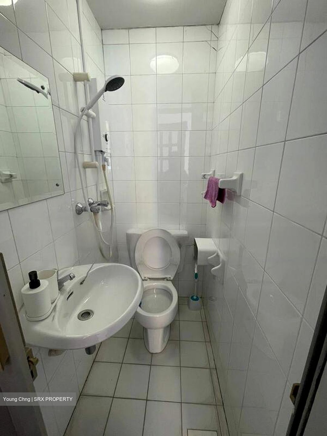 Emerald Park (D3), Condominium #506433181